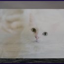 금강호 관광지 이미지