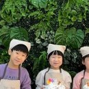 키즈포레스트