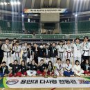 용인대 충무태권도 이미지