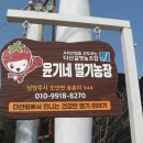 윤기농장2 네이버블로그