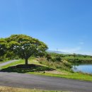 그린필드 컨트리클럽 이미지