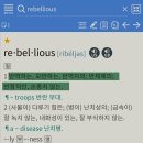 🐀🧠 인공쥐능 GROK REBELLIOUS 이미지