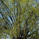 A-one PC&Cafe 이미지