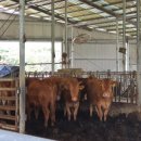 주식회사 태광솔라 이미지