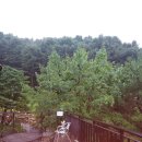 운악골 가평점 이미지