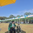 25년 함평국화축제 이미지