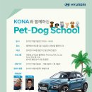 도그스쿨 이미지