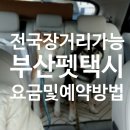 해운대 펫택시 네이버블로그