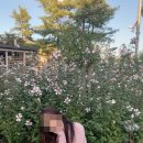 동산여관 이미지