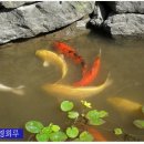 함평 경회루 이미지