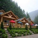 곰 펜션 이미지