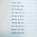 송&김약국 이미지