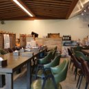 자연애오리 이미지