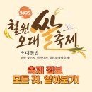 철원군농업기술센터 | [2025 철원 오대쌀축제] 위치 라인업 공연 행사 자세한 정보!(ps.철원 군민 작성)