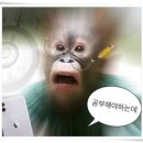 골든타임수학학원