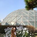 예쁜손어린이집 이미지