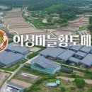 메기영어