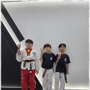 마루한 다한 태권도 이미지