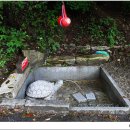 보현사 주차장입구 이미지