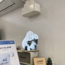 꾼케이크하우스 | 안성 레터링케이크 꾼케이크하우스 KKOON cake house 내돈내산 주문 후기