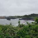 강정동-75 이미지