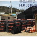 으뜸전복수산