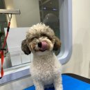 Mong's(몽'스) 이미지