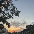 남도축산 | [공지] [영어아나운서 섭외] 2025 남도국제미식산업박람회/ 조윤하아나운서/ 한영MC/국제행사/ 영어...