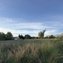 오늘여기 | ✨ 뷰·맛·분위기 다 잡은 김제 카페 오늘여기 솔직 후기