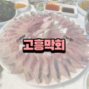 고흥막회집