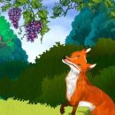 여우와 포도 이미지