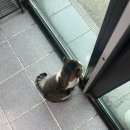 숟가락젓가락 | 내돈내산 제주도 갈치조림 가성비 맛집으로 알려진 숙자네 숟가락젓가락 방문후기