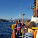 베니키아 호텔 산과바다 양양 이미지