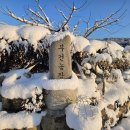 부건농장 이미지