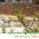 회동리_마을진입로_026 | 평창아라리 ★ 강원도평창펜션추천(백운산방)