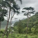 Lisof(리소프) 이미지