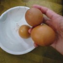 (에버라인)전대에버랜드역 | 용인 에버랜드 근처 찜질방 에버찜질사우나 내돈내산 후기