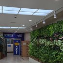 2호선 두류역 6번출구 앞 이미지