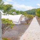 캠핑/글램핑 - 울주군 산현출강길 72 | 캠핑/글램핑