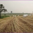 서정목장 이미지