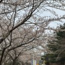 캠스학원 이미지