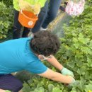 나봄1농장 이미지