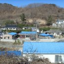 효동1리 Daum카페