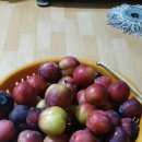 자두마을 이미지