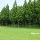 화산쉐르빌골프리조트(주) | 입회후 탈회가 거의 없어 시세변동이 크지않아요~ 인천국제cc골프회원권 명의개서후기~