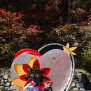 철암초등학교 | [태백] 단풍 명소 태백 철암 단풍 군락지 가을 단풍 명소 태백 가볼만한 곳 (주차장 및 안내)
