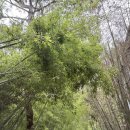 해동용궁사 | 부산 해동용궁사 후기｜부산 여행 필수코스, 뷰는 최고였지만 솔직한 후기