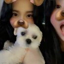 달곰달곰 이미지