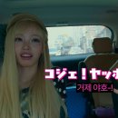 야호글로벌
