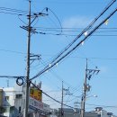 함마대로 이미지